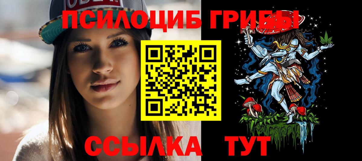 Галлюциногенные грибы Psilocybe  Вход с VPN  Минеральные Воды 